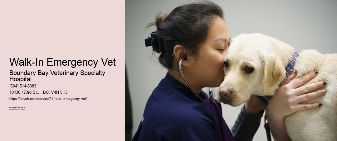 Walk-In Emergency Vet Surrey