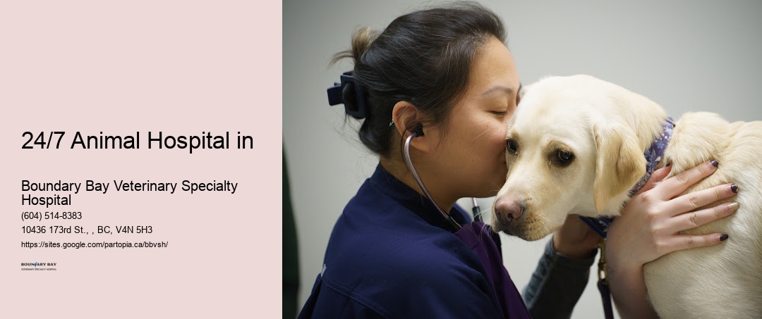 24/7 Animal Hospital in Surrey
