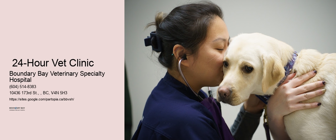 Surrey 24-Hour Vet Clinic
