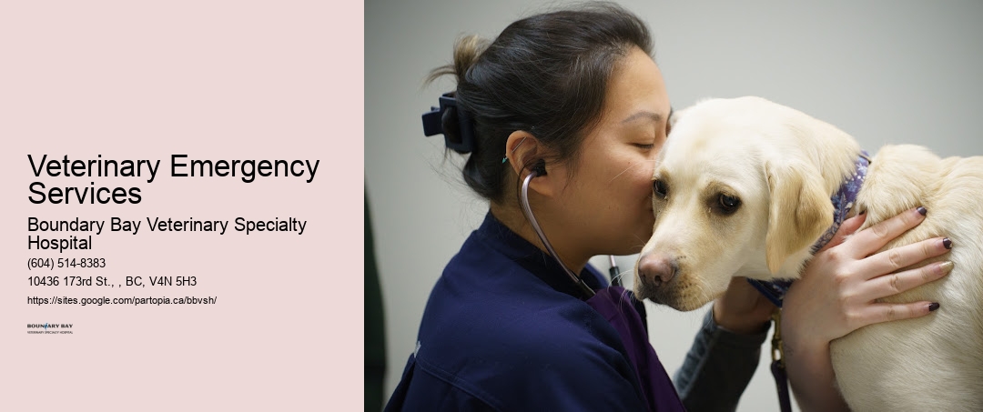 Veterinary Emergency Services Surrey