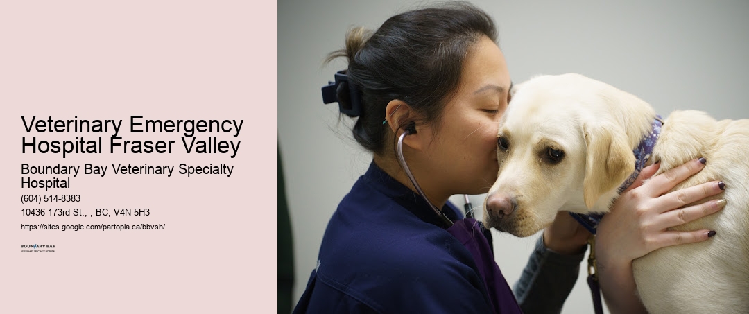 Veterinary Emergency Hospital Fraser Valley