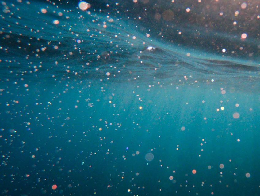 Surface water quality monitoring E. coli water testing Canada