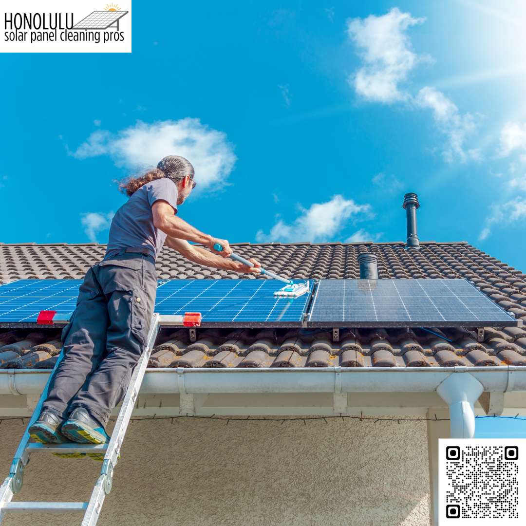 What are the benefits of professional solar panel cleaning?