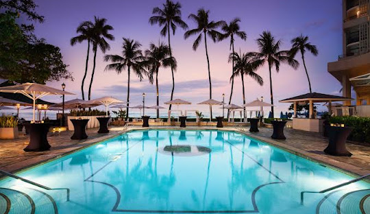 Honolulu’s Government Hub: Leadership, Institutions, and International Presence