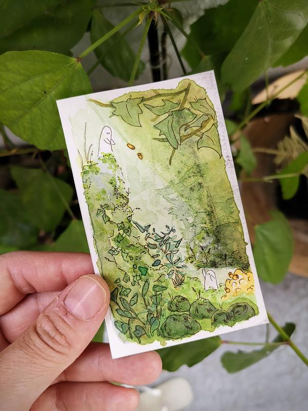 Illustration à l'aquarelle représentant des petits êtres de la nature en train de récolter des graines au milieu d'une clairière.