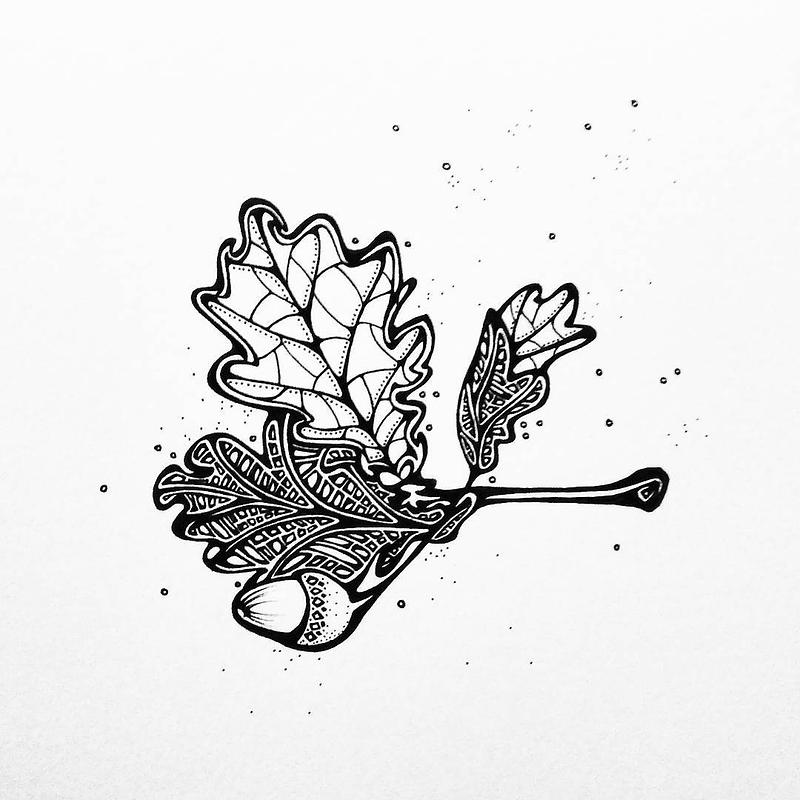 Illustration abstraite à l'encre représentant un gland et une feuille de chêne