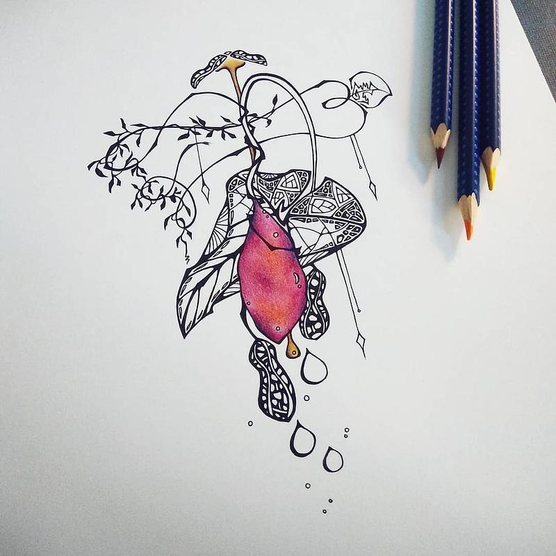 Dessin à l'encre et aux crayons de couleurs d'une plante imaginaire représentant une patate douce et des cacahuètes.