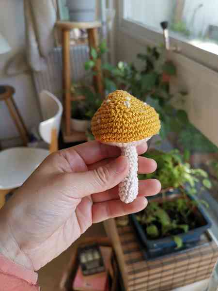 Une main qui tient une mini-peluche champignon en crochet. Le pied du champignon est blanc et son chapeau est jaune avec des points blancs. On aperçoit des plantes en arrière-plan.