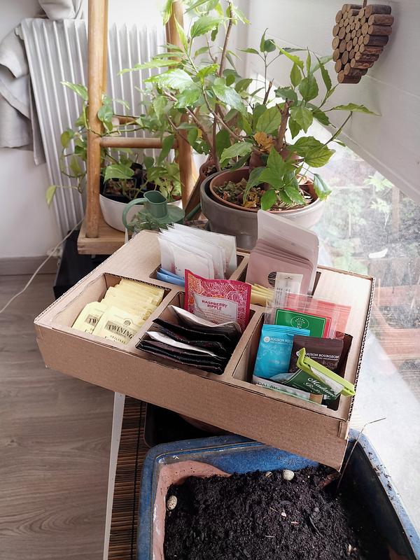 Une boîte en cartons avec plusieurs sections présentant des sachets de thé individuels. On peut voir plusieurs plantes grasses autour.