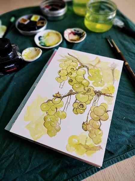 Illustration à l'aquarelle posée sur une table avec des petites coupes en céramique à côté. L'illustration représente des raisins verts dans lesquels on peut apercevoir des petits êtres de la nature vivre dedans.