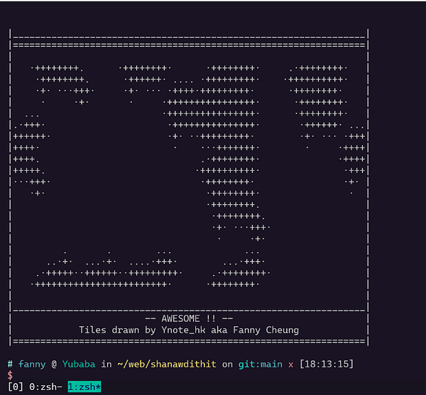 Impression d'écran d'un terminal où est représentée une carte en ASCII.