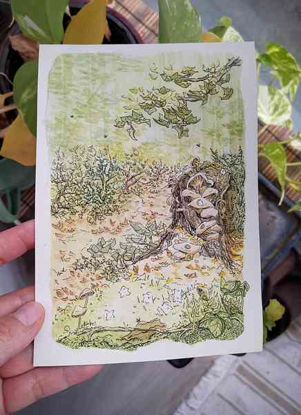 Illustration à l'aquarelle représentant un chemin dans une forêt. Au premier plan, on peut voir des petits êtres de la nature danser sur des feuilles. Au second plan, sur une souche d'arbre, poussent des pleurotes dans lesquelles les petits êtres ont construit leurs maisons. Les couleurs de l'illustration sont automnales.