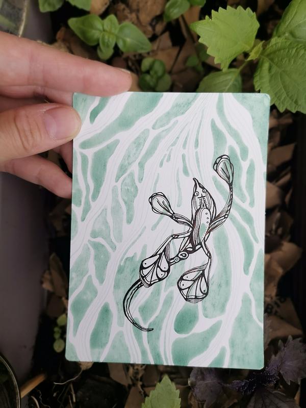 Une main qui tient une illustration bichrome à l'encre calligraphique au-dessus de quelques plantes. L'illustration représente une créature de l'eau proche avec des palmes et un museau avec une peau aux motifs stylisés.
