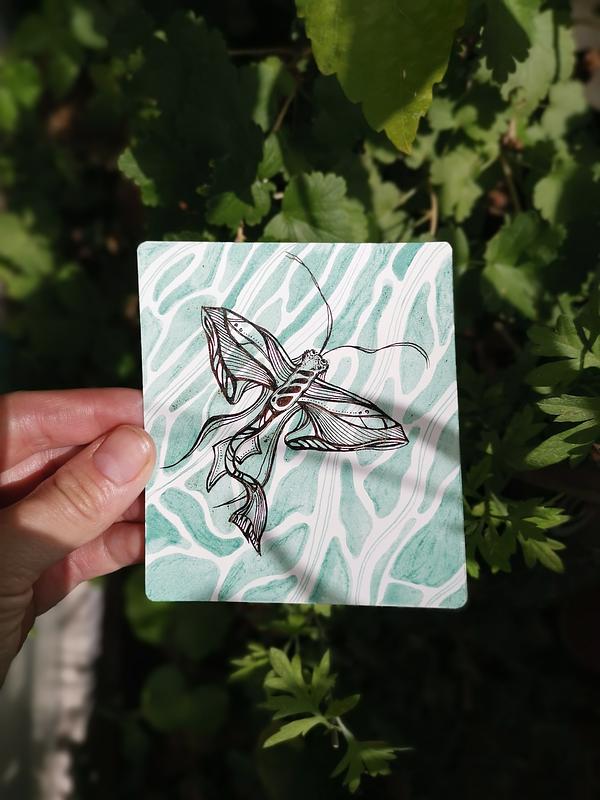Une main qui tient une illustration bichrome à l'encre calligraphique au-dessus de quelques plantes. L'illustration représente une créature de l'eau proche d'un papillon avec des motifs stylisés.