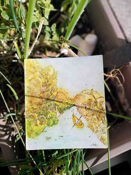 Illustration à l'aquarelle posée au milieu de plants de cébettes. L'illustration représente un petit être de la nature pagayant dans une feuille morte sur un cours d'eau. Les rives du cours eau sont pleines de végétations aux couleurs de l'automne.