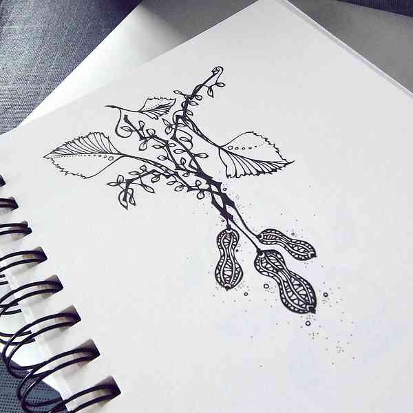 Illustration abstraite à l'encre représentant des cacahuètes