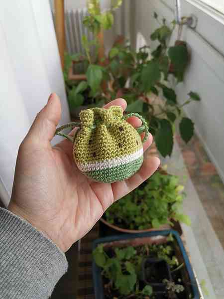 Une main qui tient un petit sac en crochet avec un motif de pastèque verte. On aperçoit des plantes en arrière-plan.