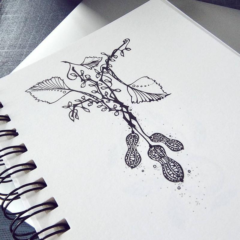 Illustration abstraite à l'encre représentant des cacahuètes