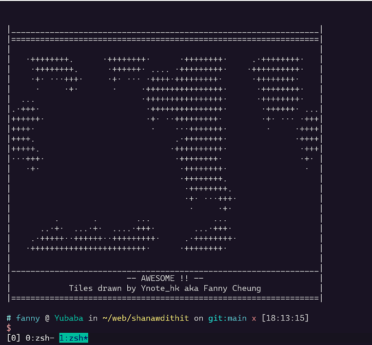 Impression d'écran d'un terminal où est représentée une carte en ASCII.