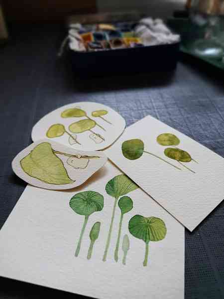 Petits dessins à l'aquarelle. Chaque dessin représente un ou plusieurs petits fantômes portant une ou plusieurs grandes feuilles au-dessus d'eux