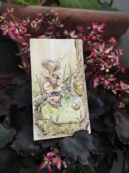 Illustration à l'aquarelle posée au pied d'un plant de saxifrage. L'illustration représente plusieurs pleurotes au pied d'un arbre. Les pleurotes forment un sorte de maison avec une porte et des petits êtres de la nature sont assis juste à côté. Les couleurs de l'illustration sont automnales.