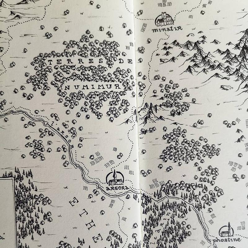Focus sur une carte de fantasy à l'encre où sont représentés des arbres, des montagnes et des villes.