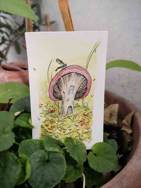 Illustration à l'aquarelle d'un champignon imaginaire au chapeau rougeâtre, dans lequel habite un petit être de la nature. Sur le chapeau est posée une libellule. On peut voir plein de feuilles aux couleurs de l'automne autour.