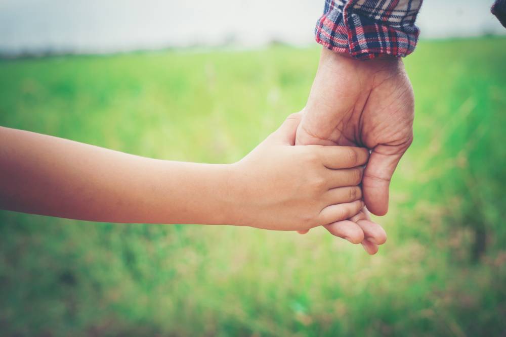 Spousal Support Dispute Lawyer Surrey