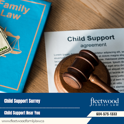 High Net Worth Divorce Lawyer Domestic Violence Lawyer Surrey