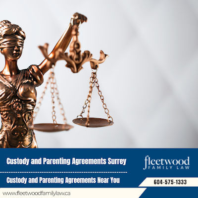 Child Custody Lawyers Domestic Violence Lawyer Surrey