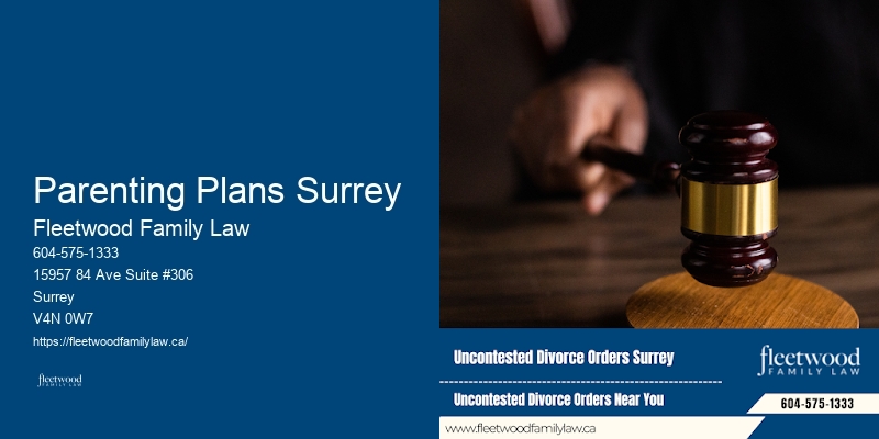 Parenting Plans Surrey