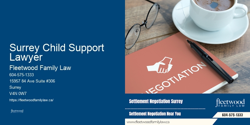 Surrey Child Support Lawyer