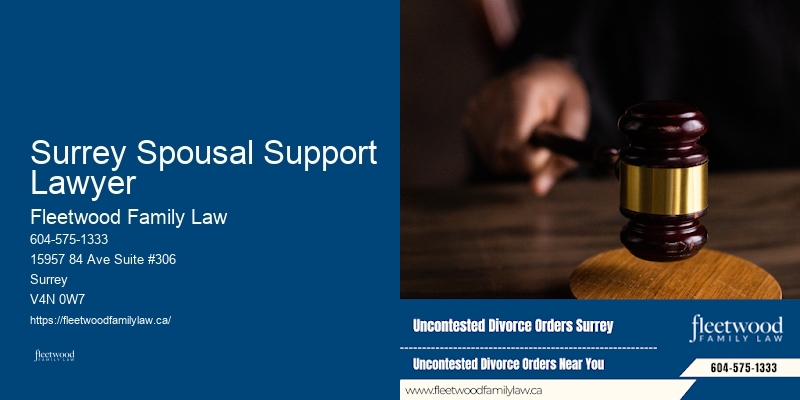 Surrey Spousal Support Lawyer