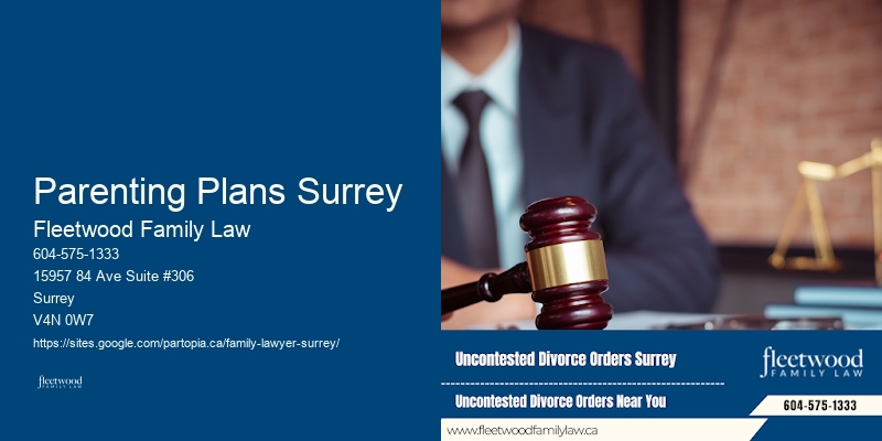Parenting Plans Surrey