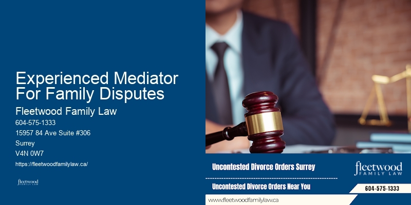 Experienced Mediator For Family Disputes