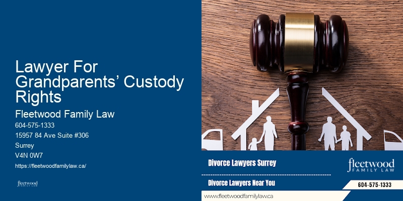 Lawyer For Grandparents’ Custody Rights