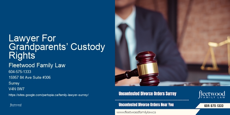 Lawyer For Grandparents’ Custody Rights