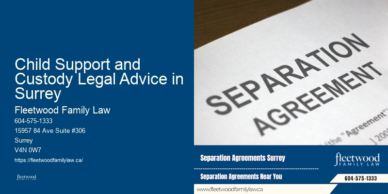 Child Support and Custody Legal Advice in Surrey