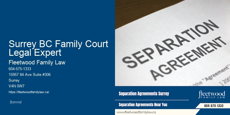 Surrey BC Family Court Legal Expert