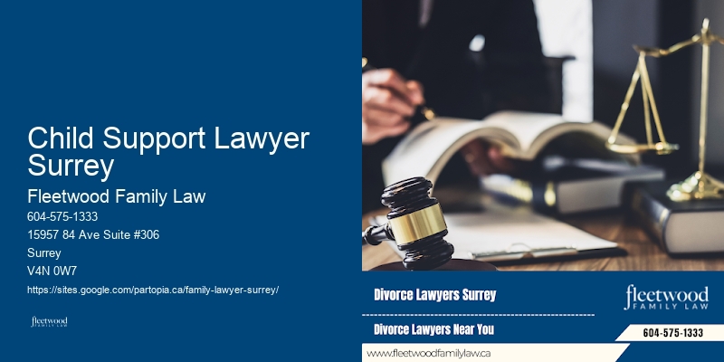 Best Family Lawyer in Child Support Lawyer Surrey
