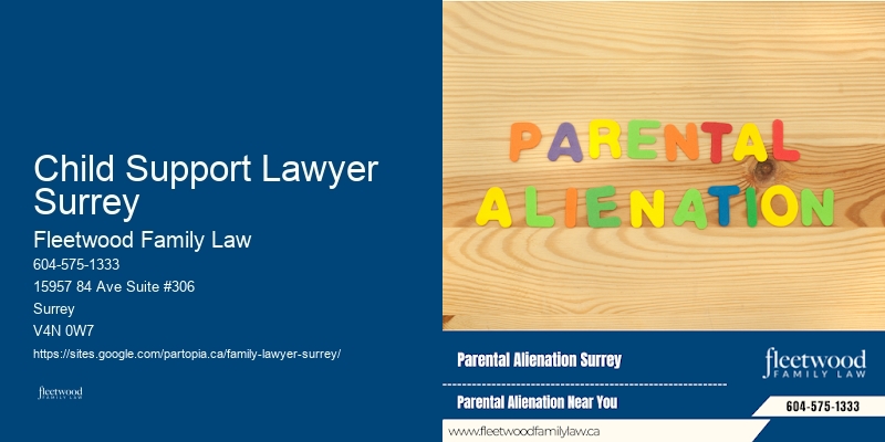 Family Lawyer Child Support Lawyer Surrey Visitation Rights