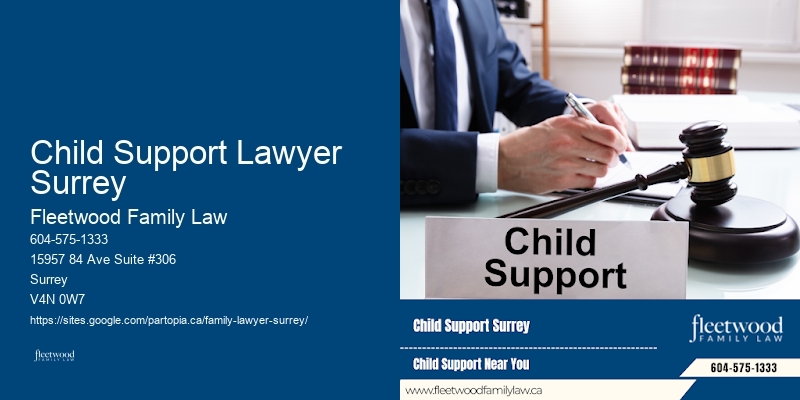 Top Family Lawyer Child Support Lawyer Surrey