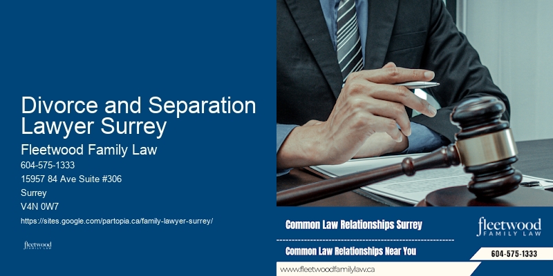 How Much Does A Family Lawyer Cost In Bc
