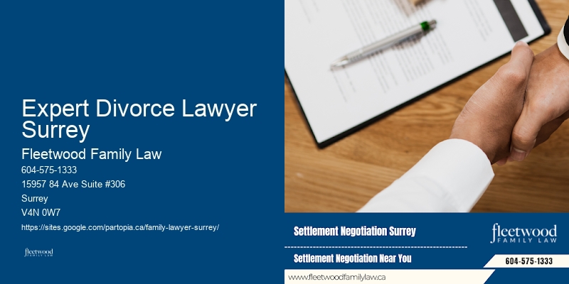 Expert Divorce Lawyer Surrey Child Custody Lawyer Affordable