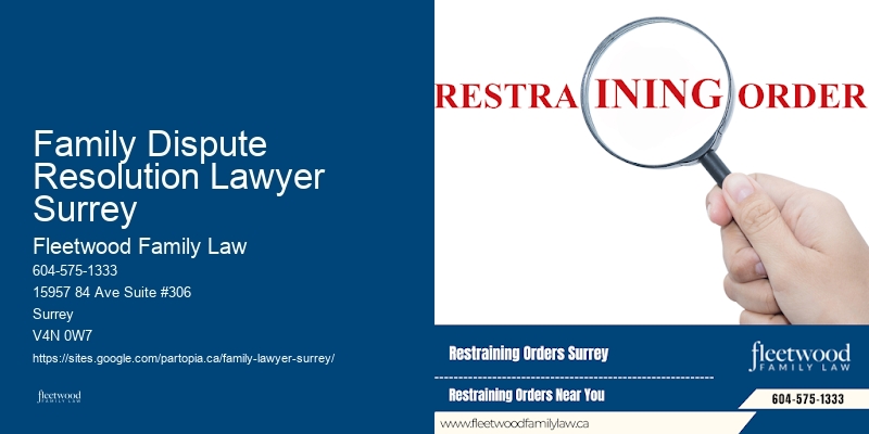 Family Lawyer Family Dispute Resolution Lawyer Surrey Testimonials