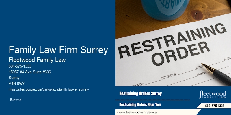 Legal Support for Custody Battles