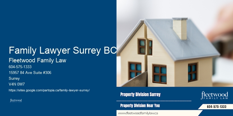 Child Protection Lawyer Family Lawyer Surrey BC