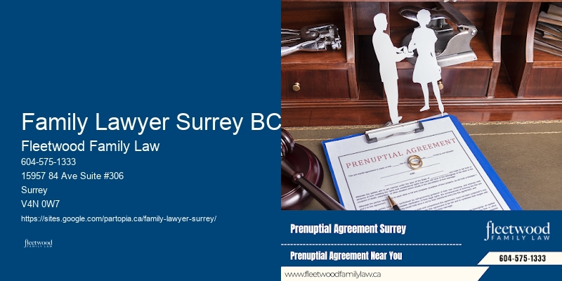 Dedicated Family Lawyer Family Lawyer Surrey BC