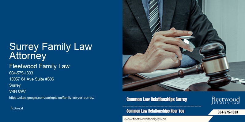 Child Custody Attorney Surrey Family Law Attorney