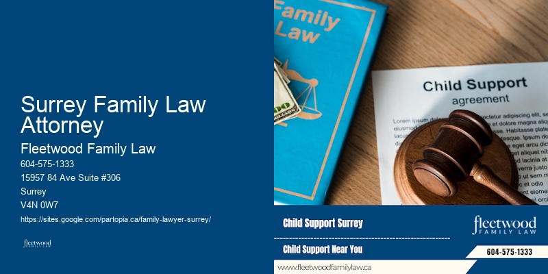 Family Lawyer Consultation Rates